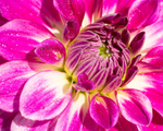 20140601-3K8A1936