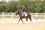 SBM_01032