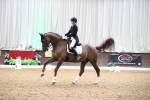 SBM_008905