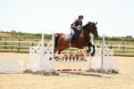 SBM_006349
