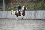BVRC SJ 170319 735