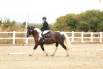 SBM_000568