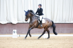 SBM_008268