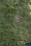 PtP 290123 0876