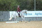 SBM_31194