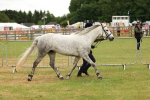 SBM_04274