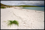 Oasis - North Uist