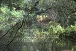 Canal