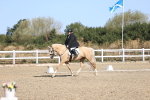 SBM_012538