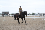 Class 603 - 2025 Area Ridden Pre Vet portfolio