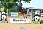 Cls 23 Chard Eq 7Yr Old Champs portfolio