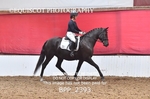 BPP_2393