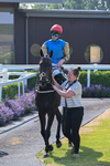 150726-Race 5-Naval Light-3603