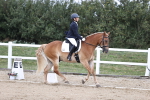 SBM_016773