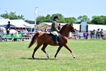 SBM_17419