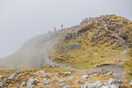 TWA  Newlands-542