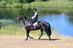 WJ7_6947