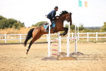 SBM_001607