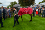 210824-Race 1-Jm Jungle-4797