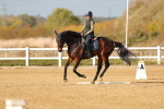 SBM_000859