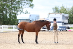 SBM_04459