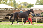 SBM_41715