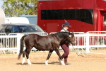 SBM_10919