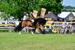 SBM_09363
