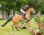 Dunblane show-531