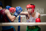 BOUT 4 - Ross Vining v Lewis Oyler-9