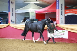 SBM_17092