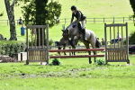 S33 - Working Hunter Pony portfolio