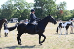 WJ6_8280