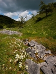 Deep Dale #04