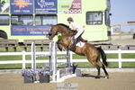 Cls 35 1.10m Amateur Quali portfolio