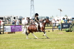 SBM_15479