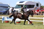3E7A8017