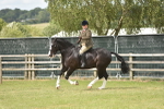 SBM_17711