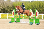 SBM_001701