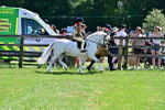 SBM_05772