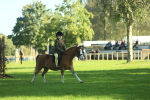 SBM_36333