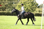 S4 - Have a Go at Working Equitation portfolio