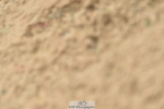 230611A-133422-06141