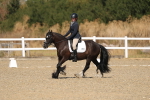 SBM_013542