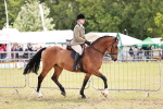 SBM_14515