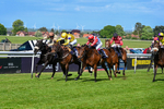 120526-Race 4-Dandy Dinmont-8271