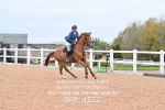 BPP_4522