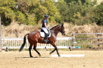 SBM_001564