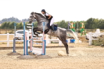SBM_001843
