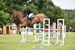 Cls 41 Snr Fox inc 6 Year Old portfolio